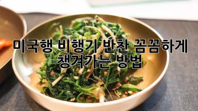 미국행 비행기, 반찬 꼼꼼하게 챙겨가는 방법